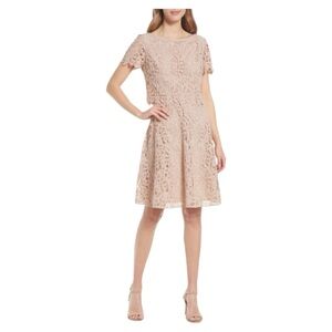 NWOT SHANI Fit & Flare Popover Lace Dress in Champagne